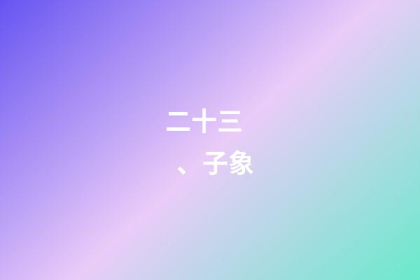 二十三、子象